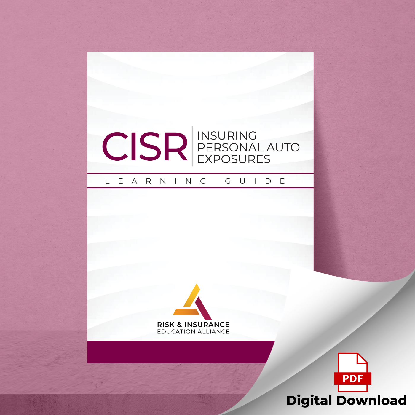 Personal Auto Exposures Learning Guide - January 2024 Edition - Digital PDF