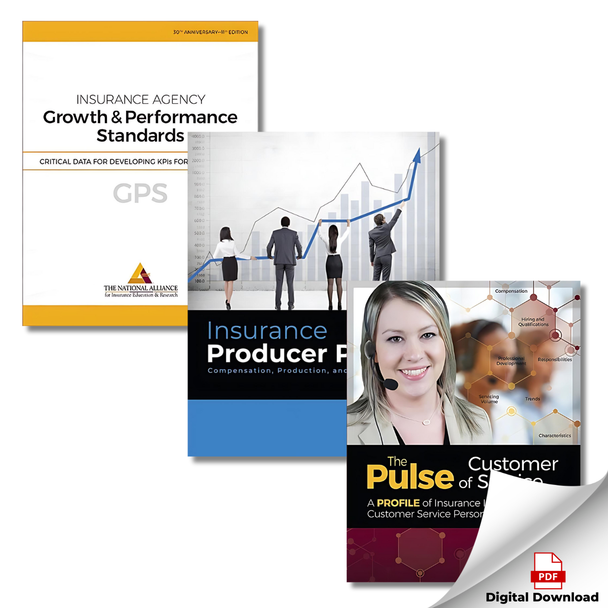 Profiling Package The Insurance Professional Profile Package—Digital PDFs – Risk ...